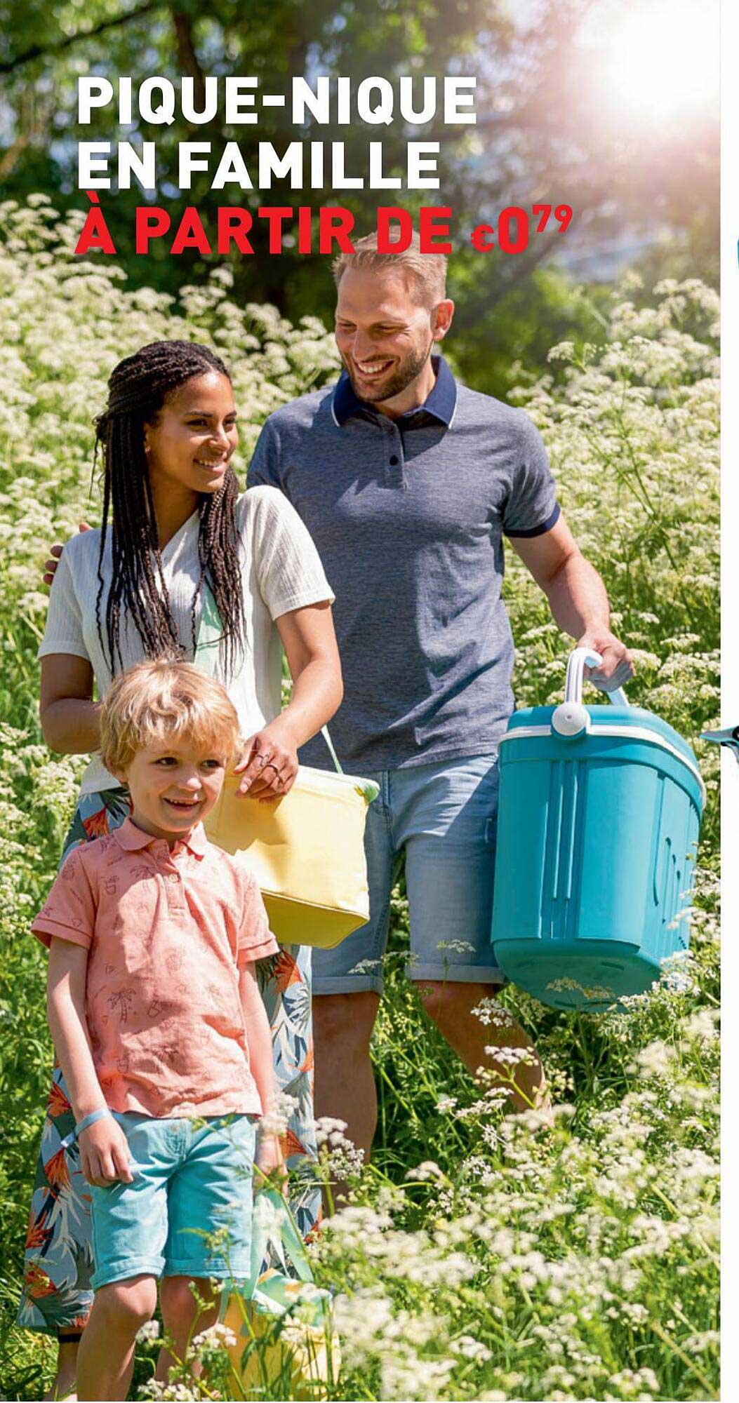 pique-nique en famille
