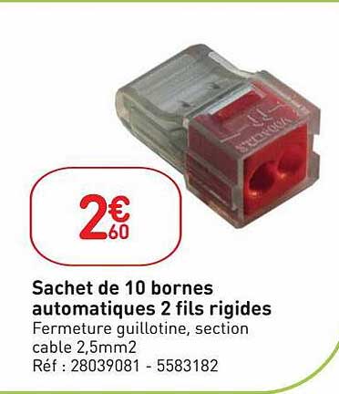sachet de 10 bornes automatiques 2 fils rigides
