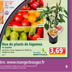 duo de plants de légumes qualité horticole