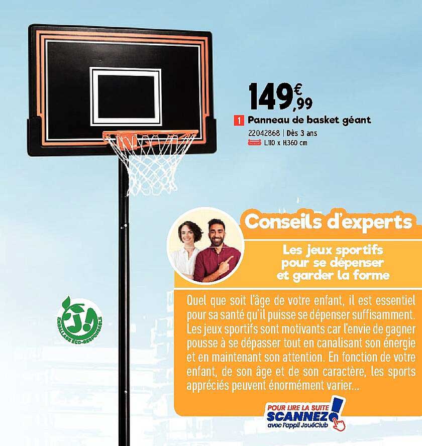 panneau de baket géant