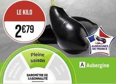 Aubergine