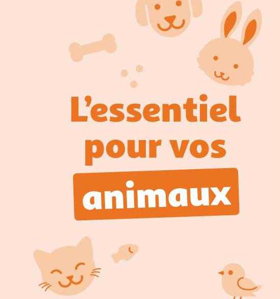 l'essentiel pour vos animaux