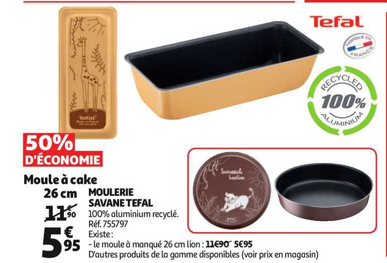 moulerie savane tefal