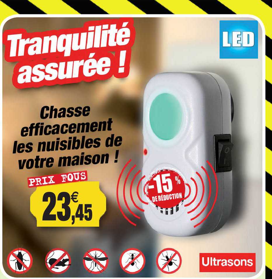 chasse efficacement les nuisibles de votre maison