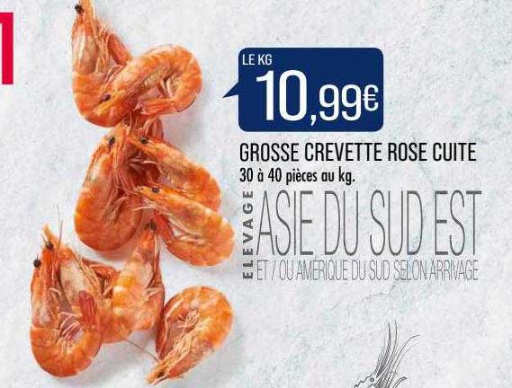 grosse crevette rose cuite