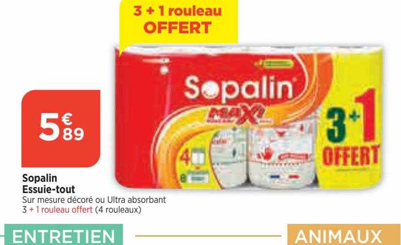 sopalin essuie-tout