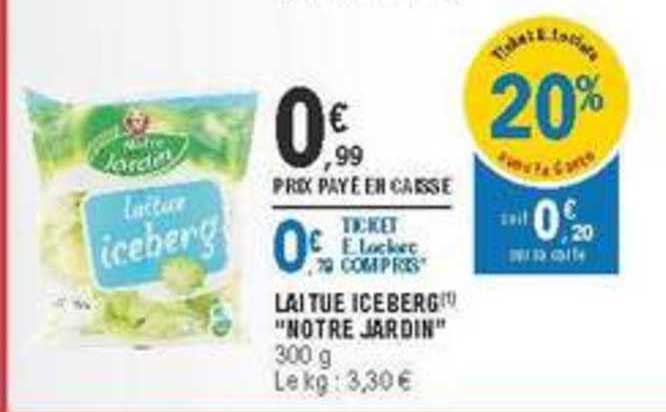 laitue iceberg notre jardin