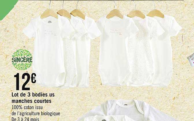 lot de 3 bodies us manches courtes sincère