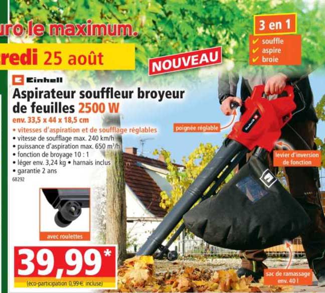Aspirateur Souffleur Broyeur De Feuilles 250w Einhell