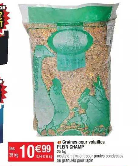 graines pour volailles plein champ