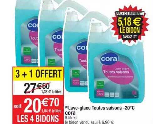 Lave-glace Toutes Saisons -20°c Cora