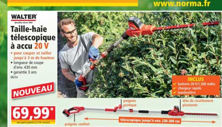 walter taille-haie télescopique à accu 20 v