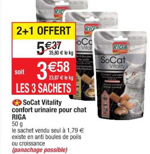 socat vitality confort urinaire pour chat riga