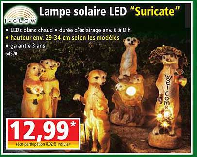 Lampe Solaire Led "suricate" I-glow
