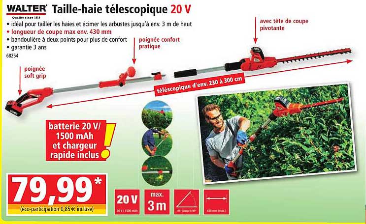 Taille-haie Télescopique 20v Walter