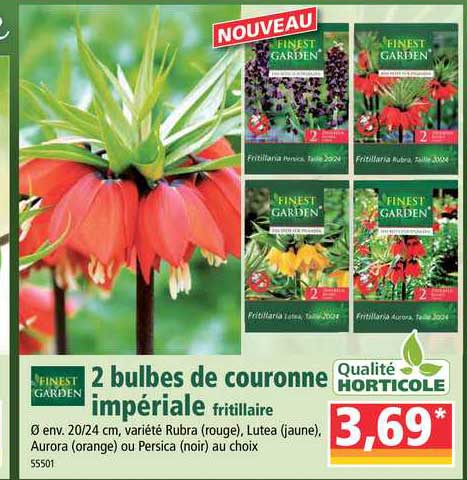 2 bulbes de couronne impériale finest garden qualité horticole