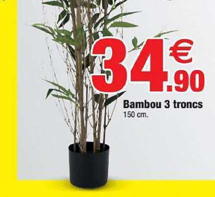 bambou 3 troncs