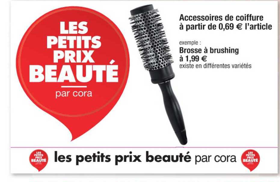 brosse à brushing