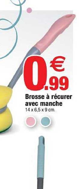Brosse à Récurer Avec Manche