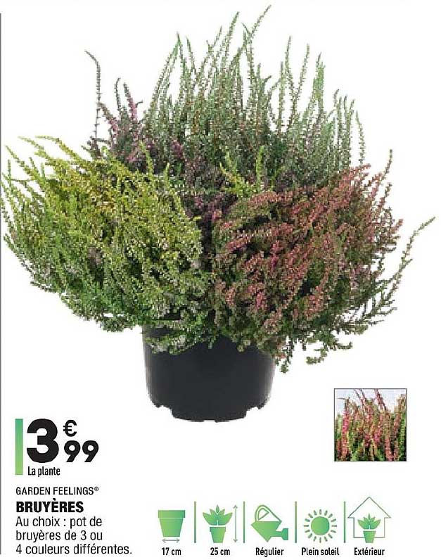 bruyères garden feelings