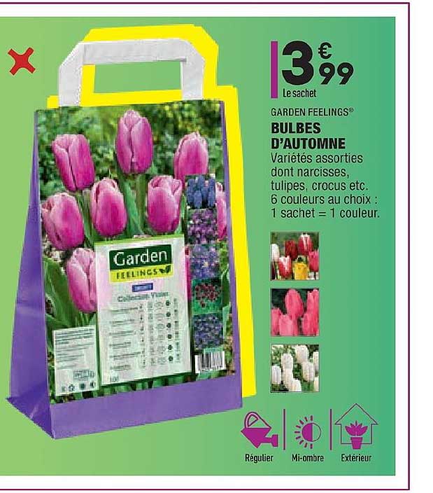 bulbes d'automnes garden feelings