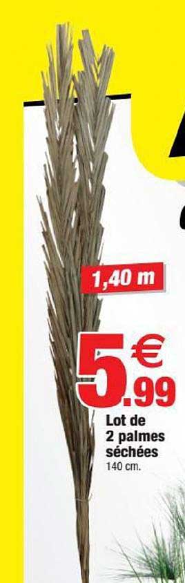 lot de 2 palmes séchées