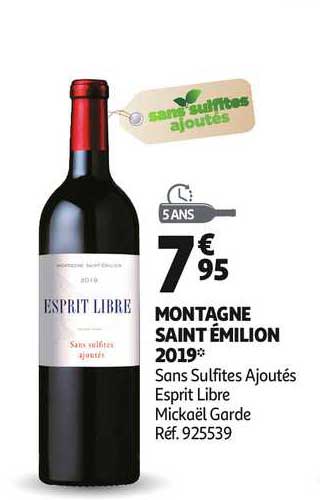montagne saint émilion 2019 sans sulfites ajoutés esprit libre mickaël garde