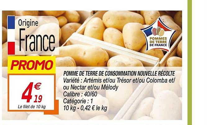 pomme de terre de consommation nouvelle récolte