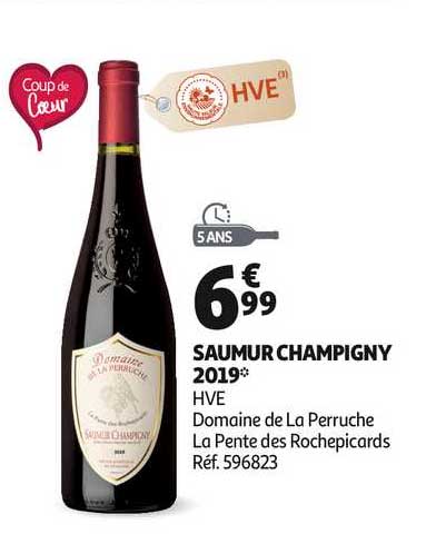 saumur champigny 2019 hve domaine de la perruche la pente des rochepicards