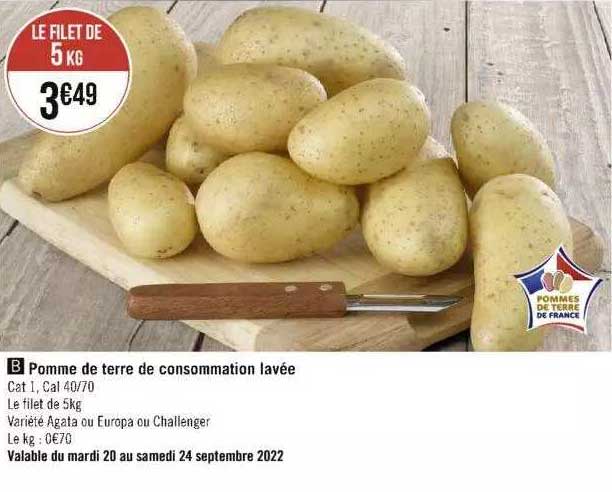 Pomme De Terre De Consommation Lavée