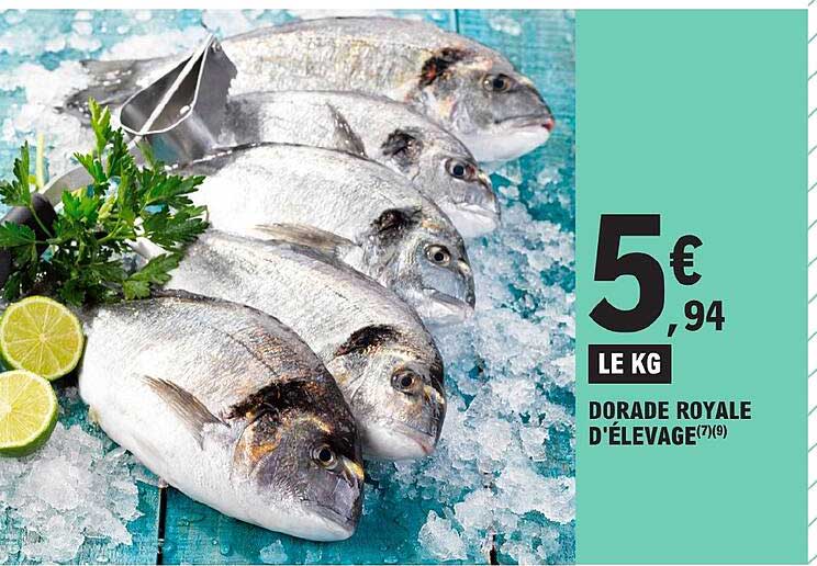 dorade royale d'élevage