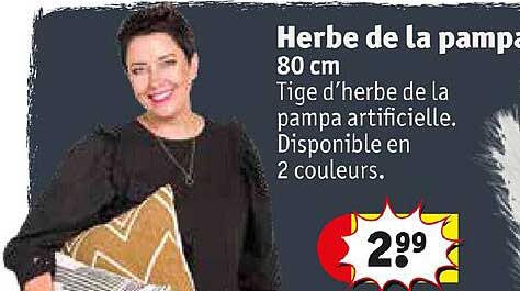 herbe de la pampa