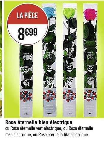rose éternelle bleu électrique