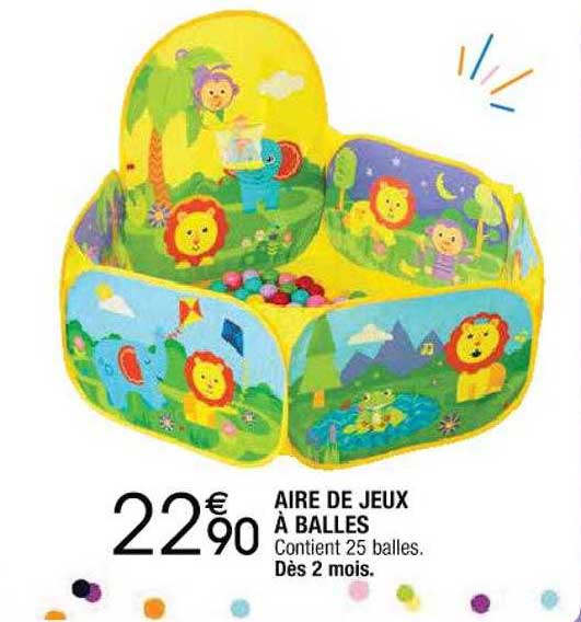 aire de jeux à balles