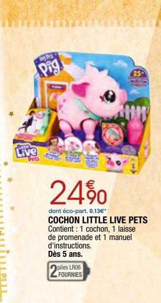 cochon little live pets