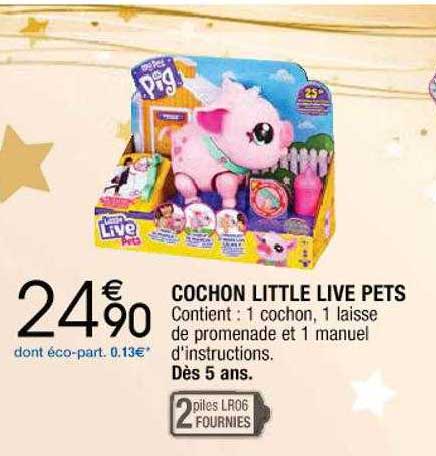 cochon little live pets