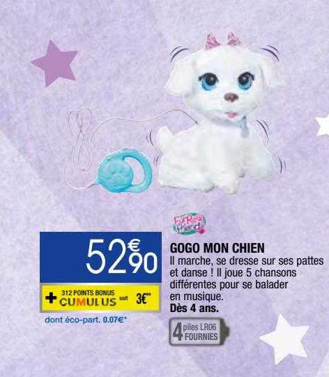 gogo mon chien