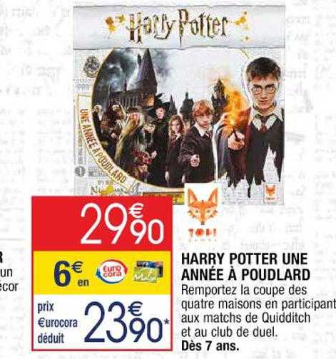 harry potter une année à poudlard