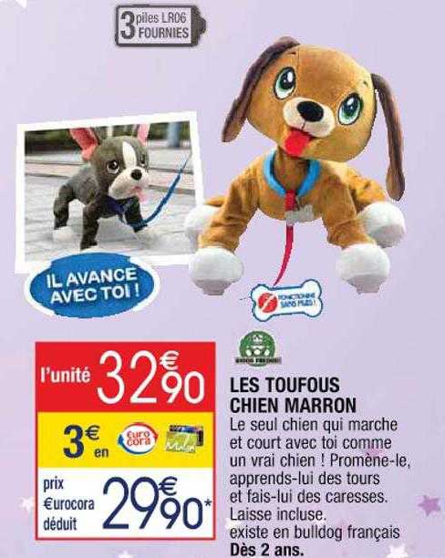 les toufous chien marron