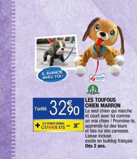 les toufous chien marron