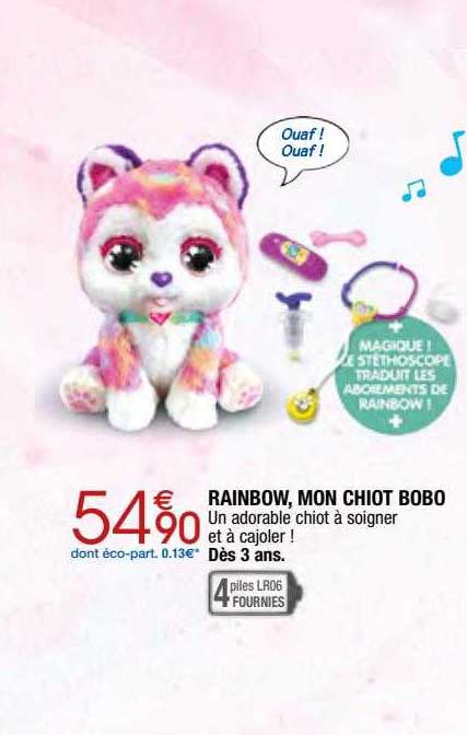rainbow, mon chiot bobo