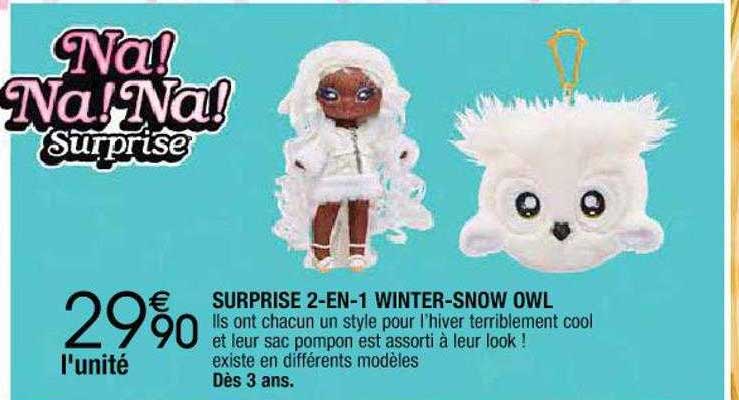 surprise 2-en-1 winter-snow owl
