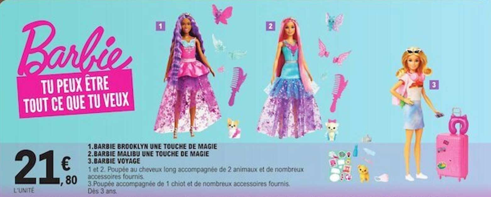 barbie brooklyn une touche de magie, barbie malibu une touche de magie, barbie voyage