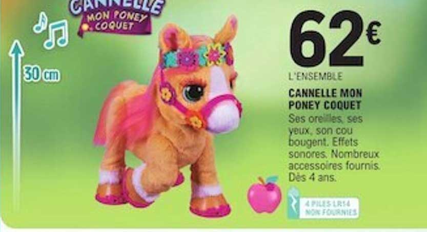 cannelle mon poney coquet