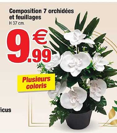 composition 7 orchidées et feuillages