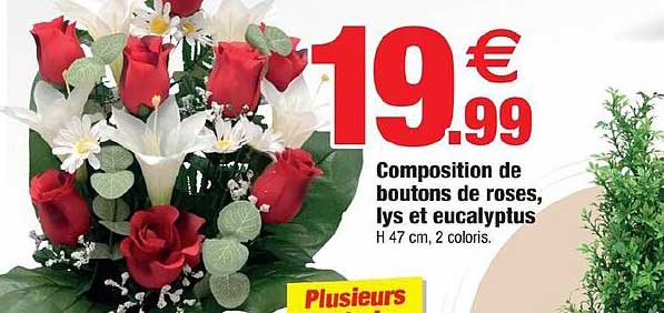 Composition De Boutons De Roses, Lys Et Eucalyptus