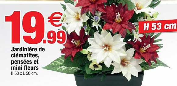 jardinière de clématites, pensées et mini fleurs