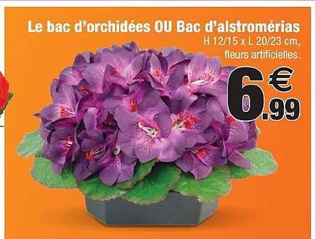 le bac d'orchidées ou bac d'alstromérias