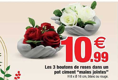 les 3 boutons de roses dans un pot ciment "mains jointes"