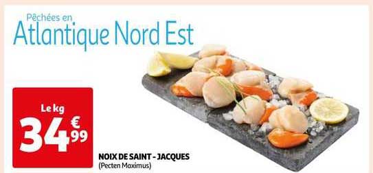 noix de saint-jacques